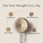 Whey Blend • Isolate + Concentrate • Mango • 40g