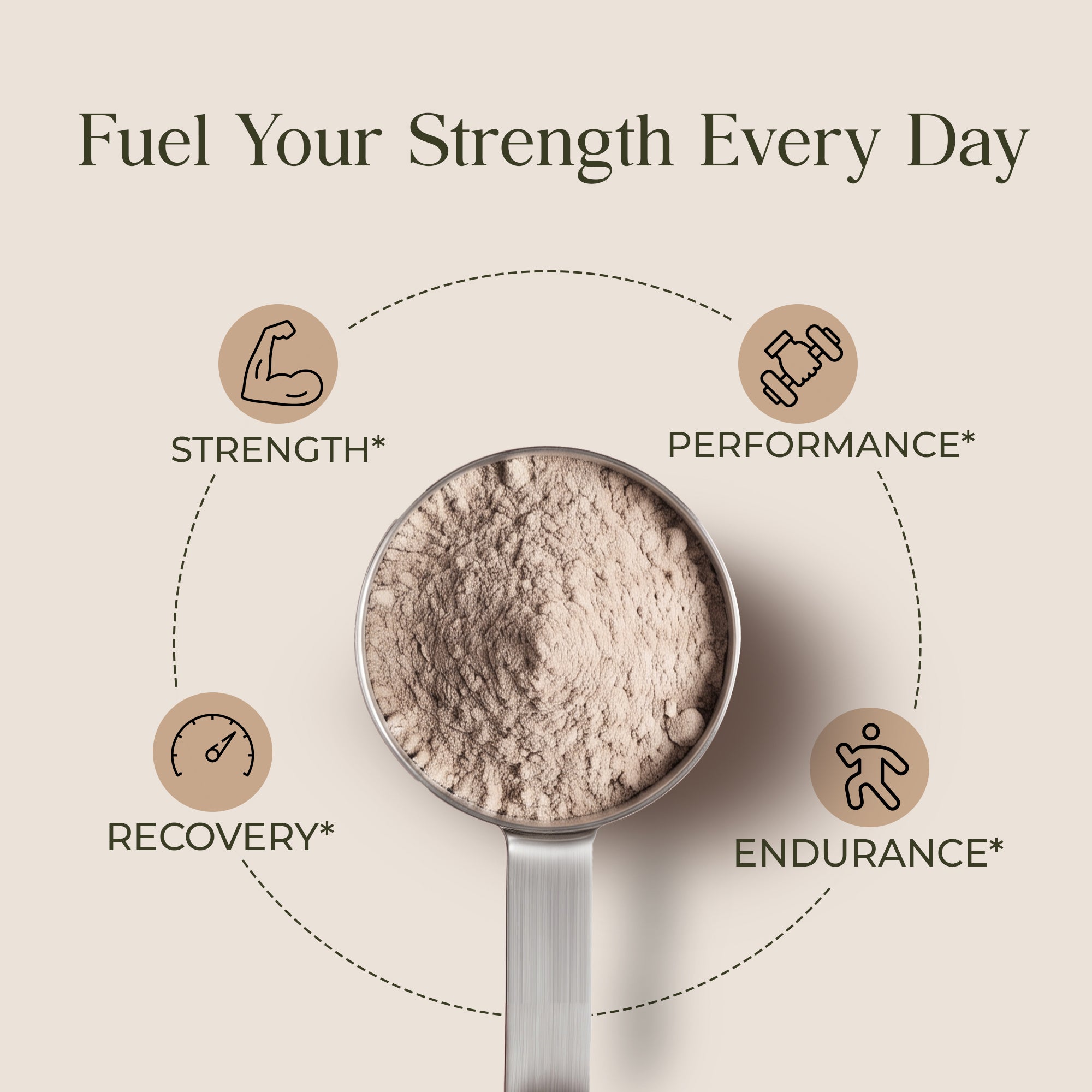 Whey Blend • Isolate + Concentrate • Chocolate • 40g