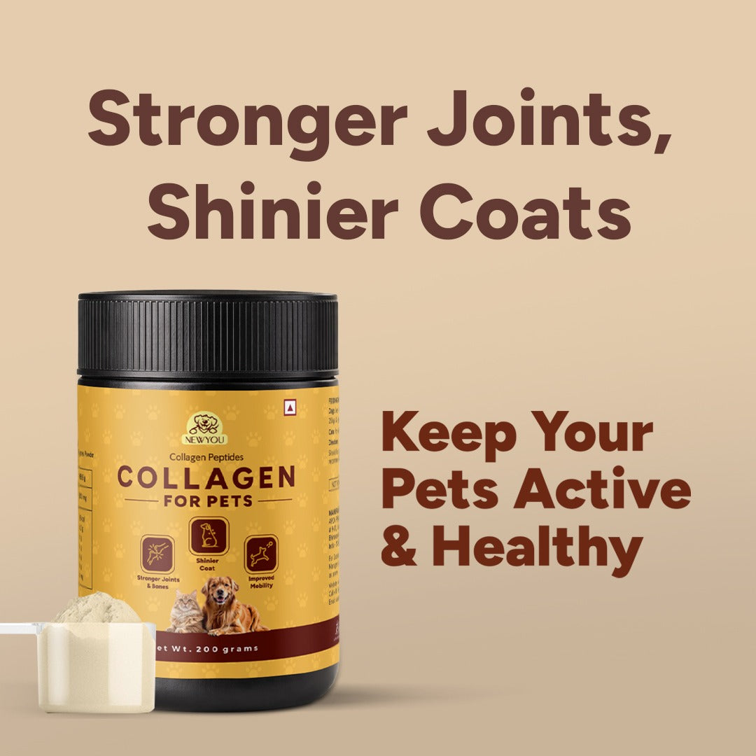NewYou Marine Collagen for Dogs & Cats (200 Gms)